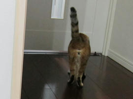 IMG04632.jpg
