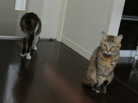 IMG04633.jpg