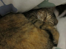 IMG01474.jpg