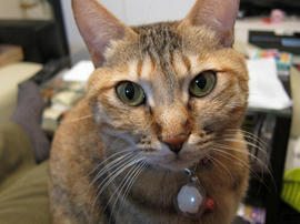 IMG01483.jpg