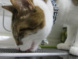 IMG04636.jpg
