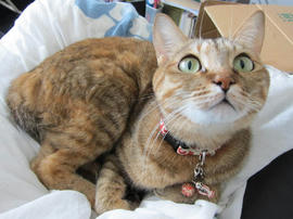 IMG04640.jpg