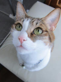 IMG04645.jpg