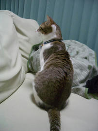 IMGP10736.jpg