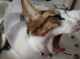 IMG01495.jpg