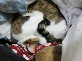 IMG04652.jpg
