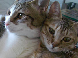 IMGP10743.jpg