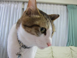 IMG04654.jpg