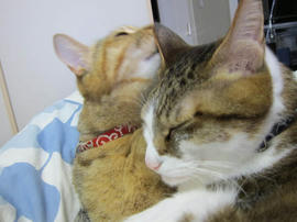 IMG04658.jpg