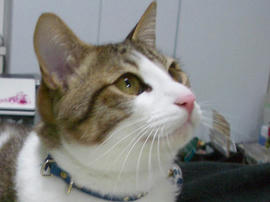 IMGP10759.jpg