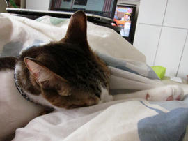 IMG01534.jpg
