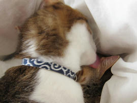 IMG01537.jpg