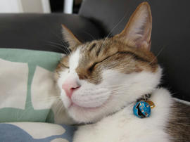 IMG01541.jpg