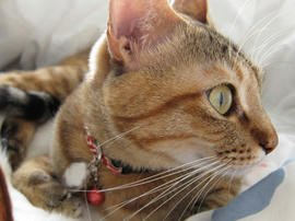 IMG01545.jpg