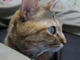 IMG04664.jpg