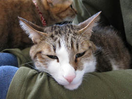 IMG01568.jpg