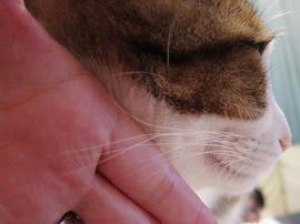 IMG01579.jpg