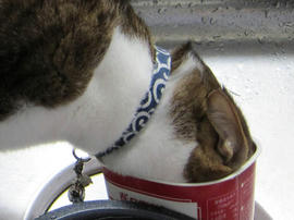 IMG04668.jpg