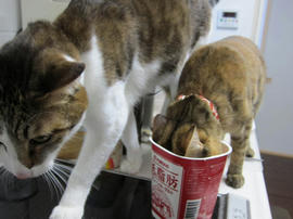 IMG04672.jpg