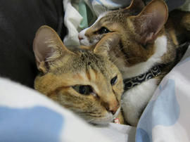 IMG04676.jpg