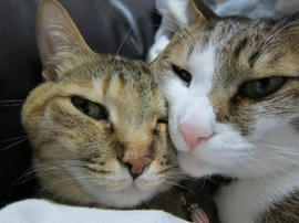 IMG04677.jpg