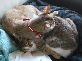 IMGP10779.jpg