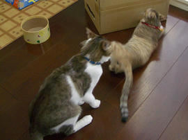 IMGP10783.jpg