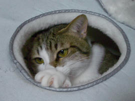 IMGP10787.jpg
