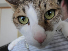 IMG04687.jpg