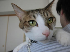 IMG04688.jpg