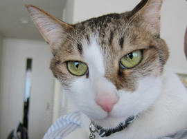 IMG04689.jpg