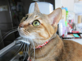 IMG04692.jpg