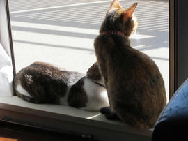 IMG04693.jpg