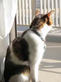 IMG04695.jpg