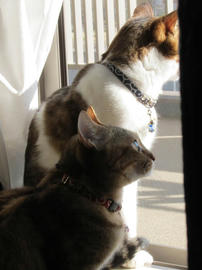 IMG04697.jpg