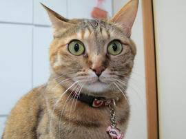 IMG04707.jpg