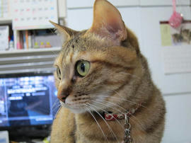 IMG04709.jpg