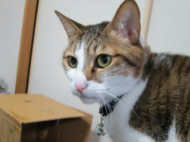 IMG04710.jpg