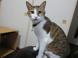 IMG04712.jpg