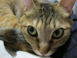 IMG04717.jpg