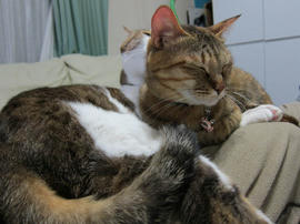 IMG04719.jpg
