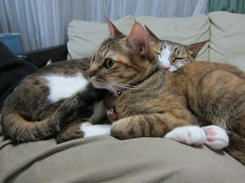 IMG04723.jpg