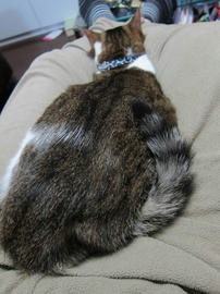 IMG04726.jpg