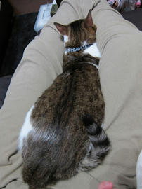 IMG04727.jpg