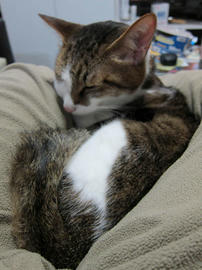 IMG04728.jpg