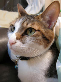 IMG01604.jpg