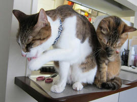 IMG04737.jpg