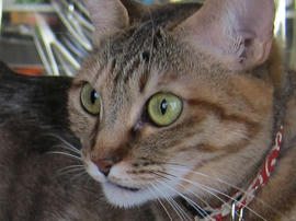 IMG04739.jpg