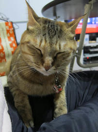 IMG04745.jpg