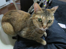 IMG04746.jpg